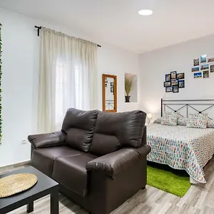  Appartement Encantador Loft Teatro Falla Espagne